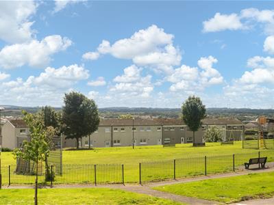 Picture 29